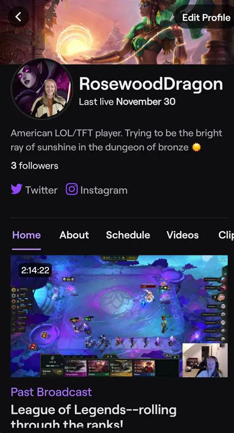 The Need for a Dedicated Viewer