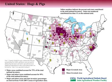 The Percentage of Hogs Produced in the United States from Iowa Farms