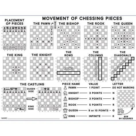 The Pieces and Their Movements