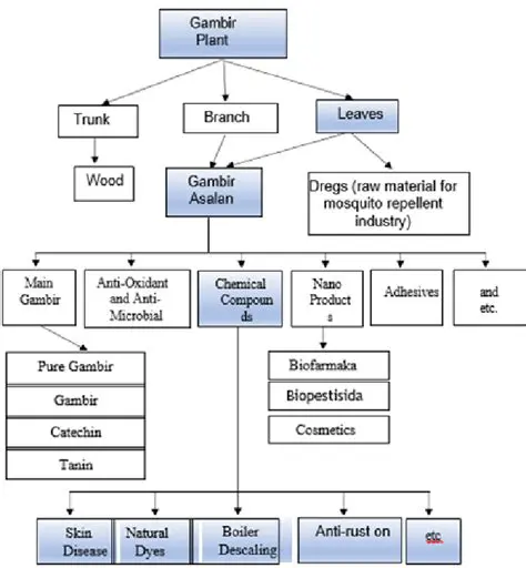 The Potential of Gambier Leaves as an Antioxidant Source