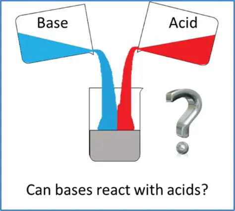 The Reaction Between a Base and an Acid