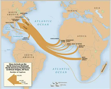 The Rise of the Transatlantic Slave Trade