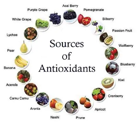 The Role of Antioxidants in Fish Oil