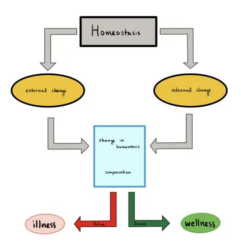 The Role of Pulse Rate in Homeostasis