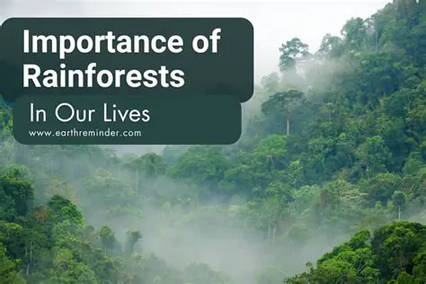 The Role of Rainforests in Cancer Research