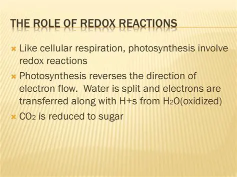 The Role of Redox Reactions