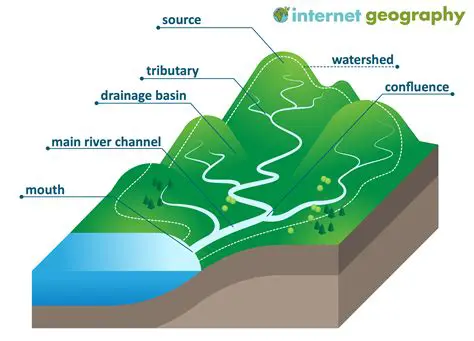 The Role of Topography in Shaping Streams and Rivers
