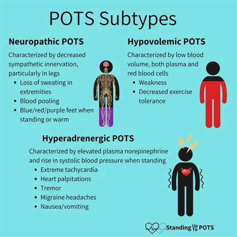 The Three Basic Types of Pots