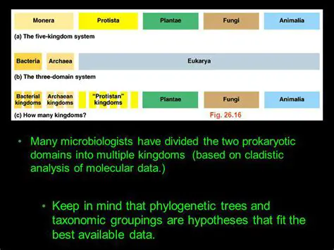 The Two Prokaryotic Domains