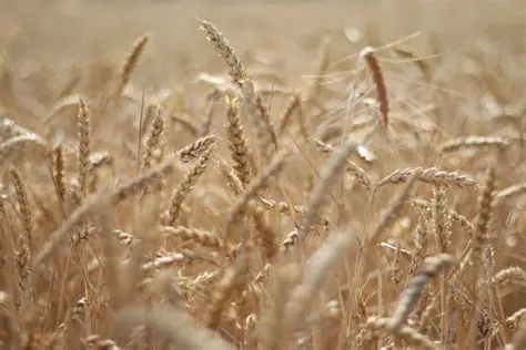 Tips for Achieving the Right Texture