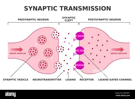 Transmission to Repository