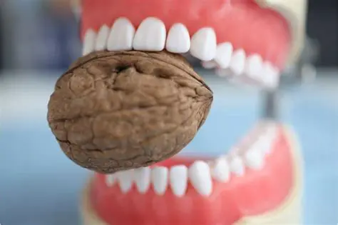 Understanding Anterior Teeth