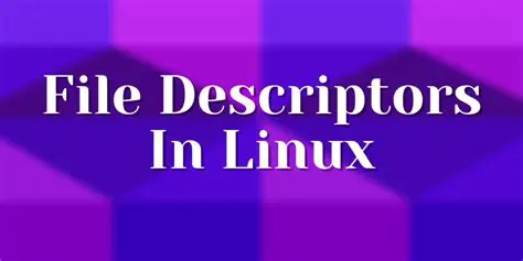 Understanding File Descriptors