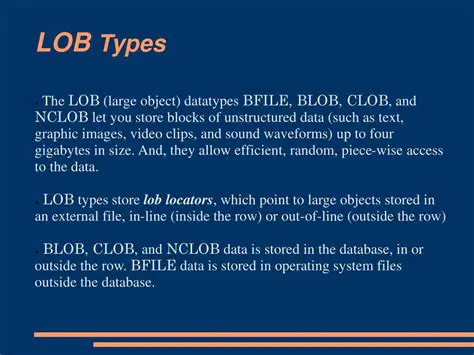 Understanding LOB and TEXT Data Types