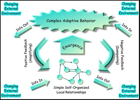Understanding the behavior of complex systems