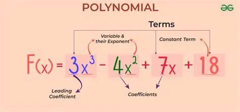 Understanding the Lowest Function