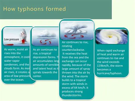 Understanding the Power of Typhoons
