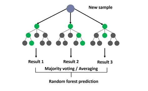 Understanding the Random Condition