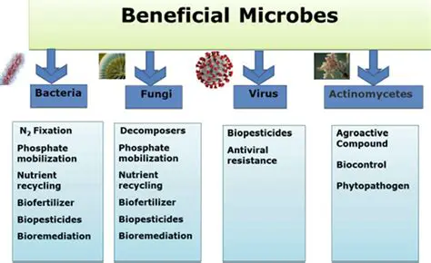 Use beneficial microorganisms