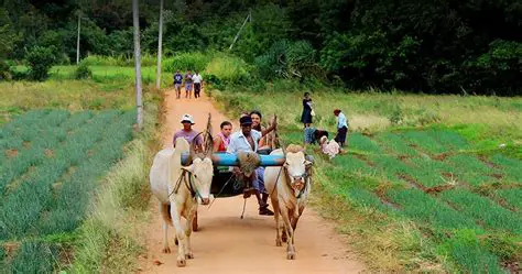 Village Channels: Bridging Communities and Broadcasting Local Life